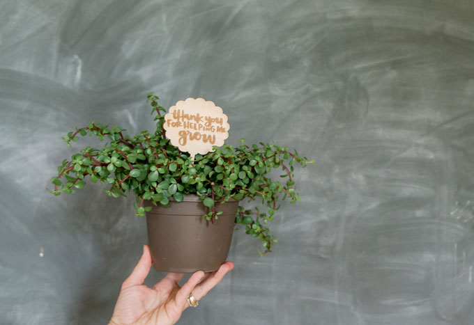 end of the year teacher gift, teacher gift idea, principal gift ideas, wooden teacher gift, plant teacher gift, oh yay studio, planter stick oh yay studio