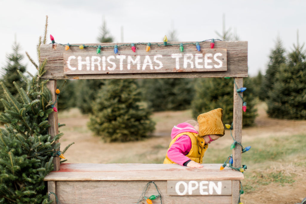 Christmas tree hunting, Emily Steffen family, oh yay traditions, oh yay studio, christmas traditions, Christmas tree day, toddler christmas ideas, family christmas traditions