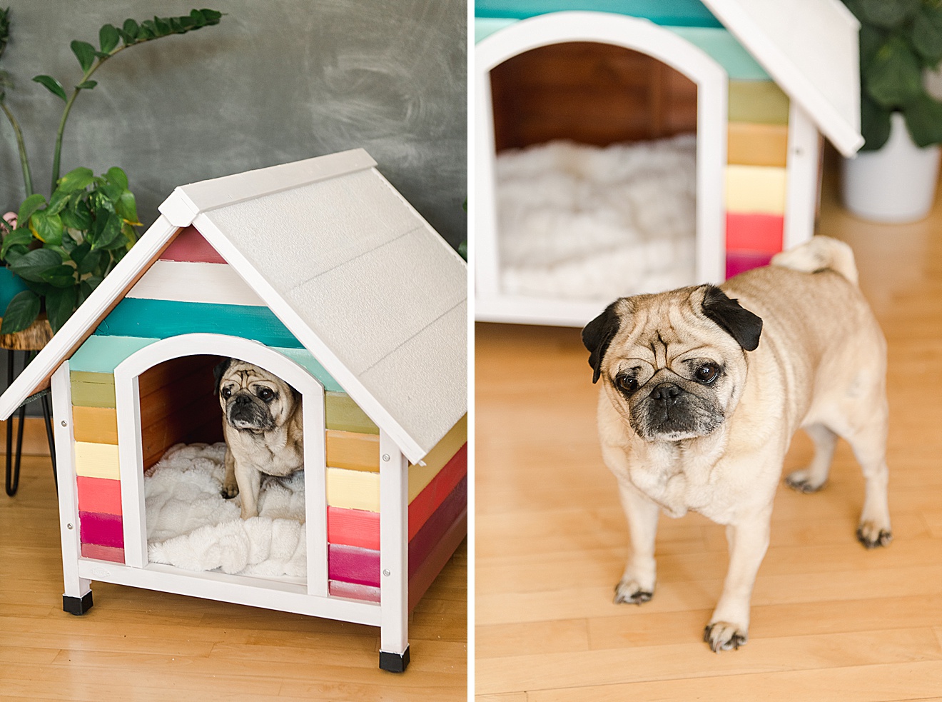 How to build a rainbow dog house, colorful doghouse DIY, painted doghouse, painted doghouse DIY, how to paint a doghouse, doghouse inspiration