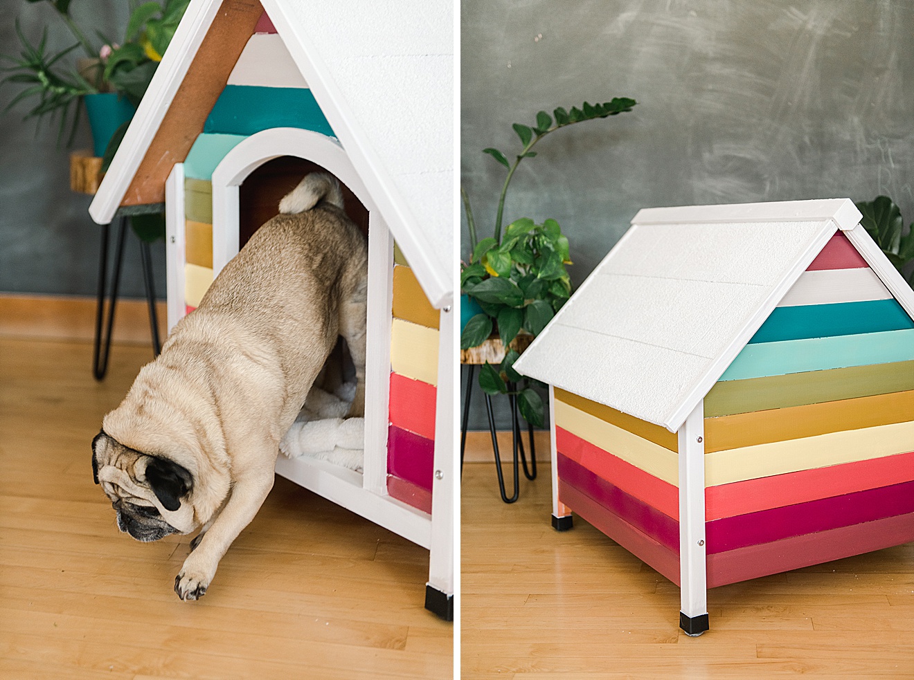 How to build a rainbow dog house, colorful doghouse DIY, painted doghouse, painted doghouse DIY, how to paint a doghouse, doghouse inspiration