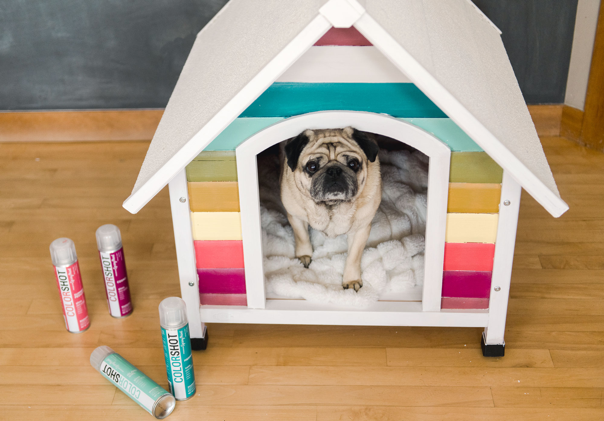 How to build a rainbow dog house, colorful doghouse DIY, painted doghouse, painted doghouse DIY, how to paint a doghouse, doghouse inspiration