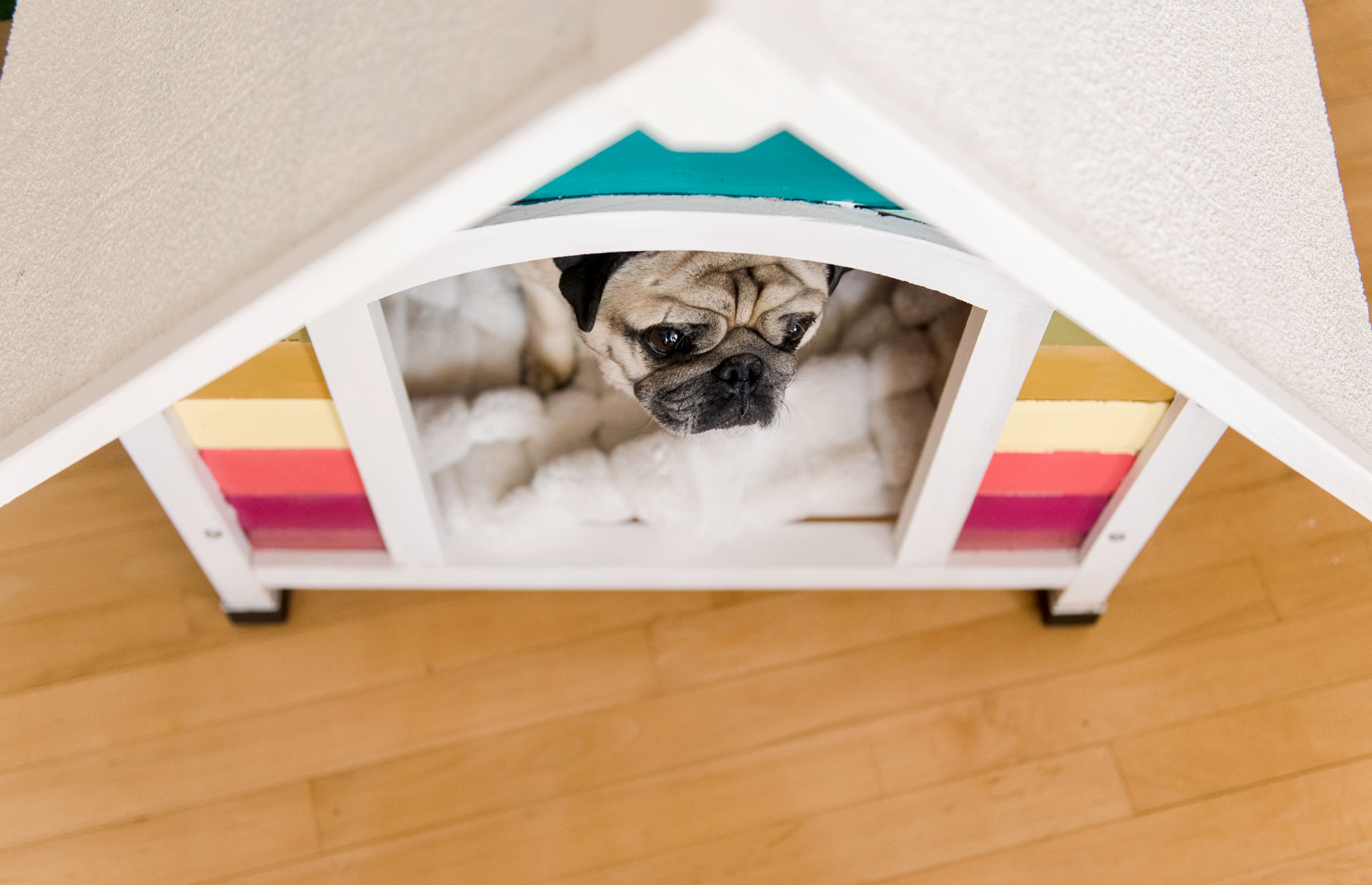 How to build a rainbow dog house, colorful doghouse DIY, painted doghouse, painted doghouse DIY, how to paint a doghouse, doghouse inspiration