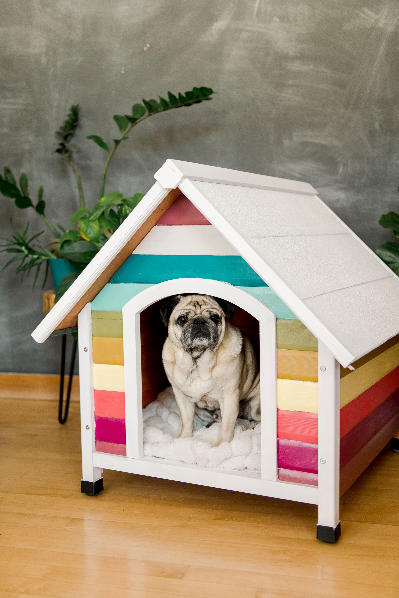 How to build a rainbow dog house, colorful doghouse DIY, painted doghouse, painted doghouse DIY, how to paint a doghouse, doghouse inspiration