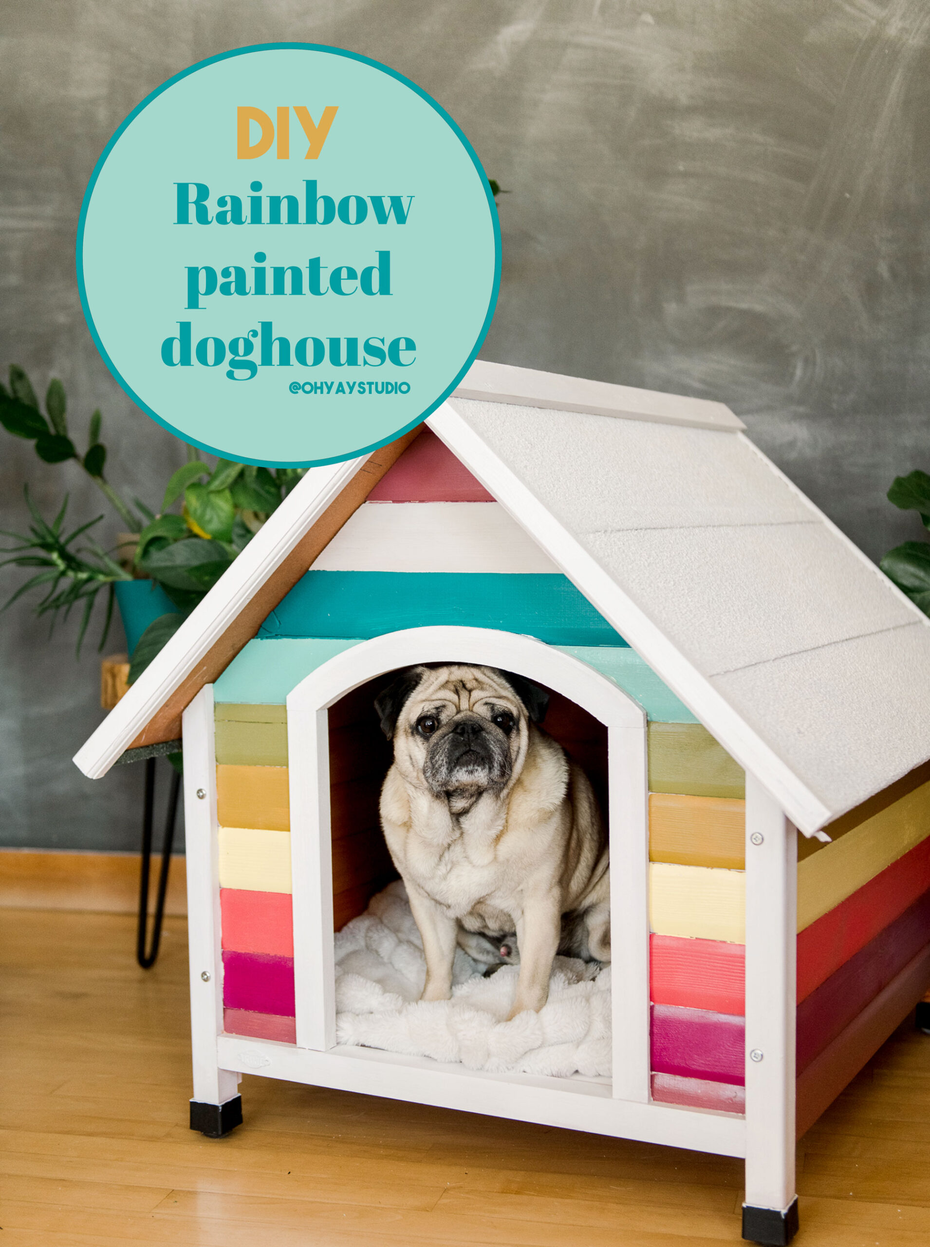 How to build a rainbow dog house, colorful doghouse DIY, painted doghouse, painted doghouse DIY, how to paint a doghouse, doghouse inspiration