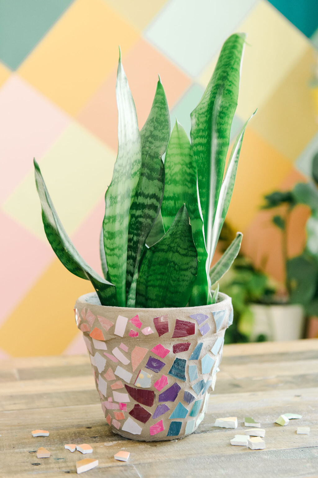 Recycled ceramic mosaic pot! – oh yay studio – Color + Painting