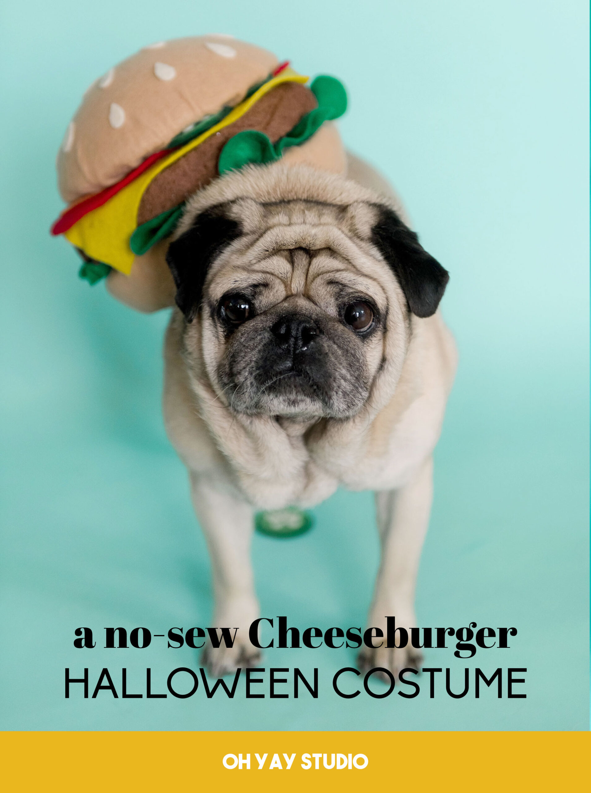 no sew cheeseburger costume, dog halloween costume DIY, Cheeseburger Halloween costume, pug costume, hamburger costume