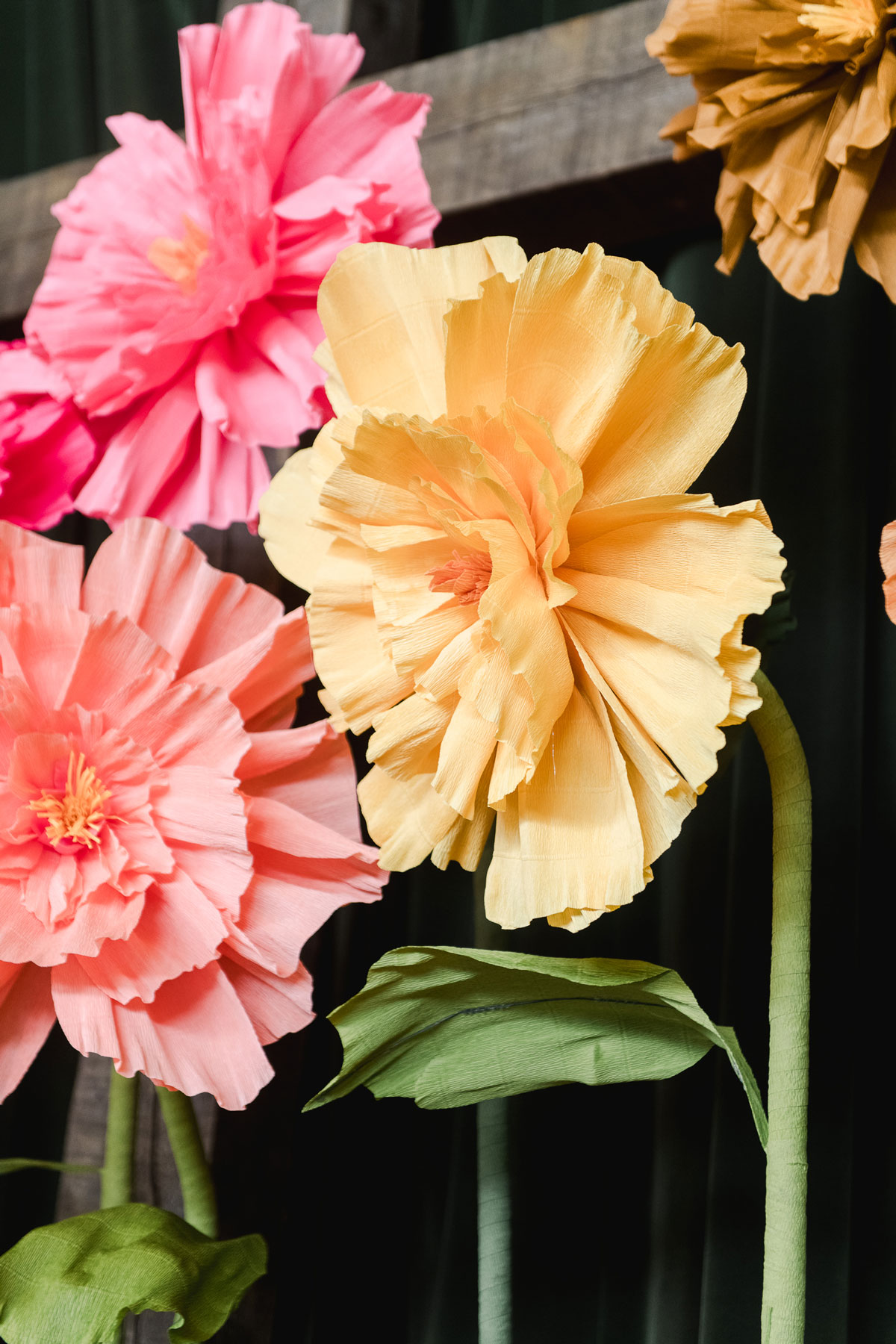 Giant Crepe paper flower DIY, how to make giant crepe paper flowers, crepe paper flowers, how to make oversized flowers, baby shower decor, floral wedding shower decor